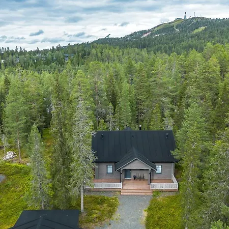 Rukan Lumikonpesae Villa *