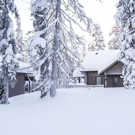 Rukan Lumikonpesae Villa *
