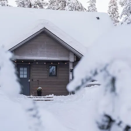 Rukan Lumikonpesae *