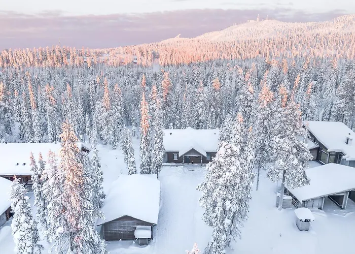 Rukan Lumikonpesae Villa *