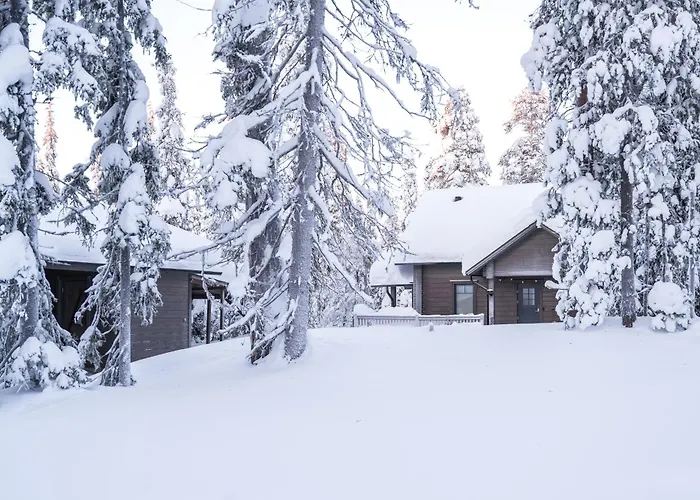 Rukan Lumikonpesae Villa *